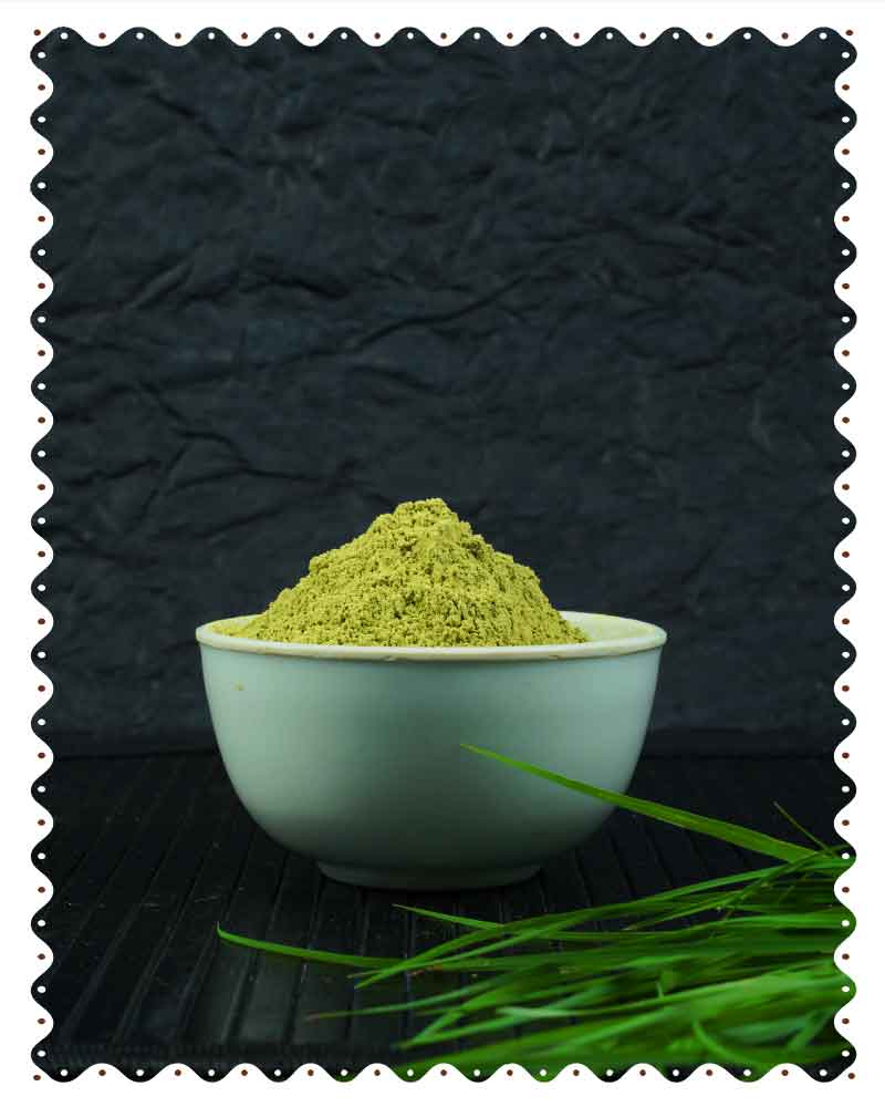 Alfalfa Grass Powder 100g
