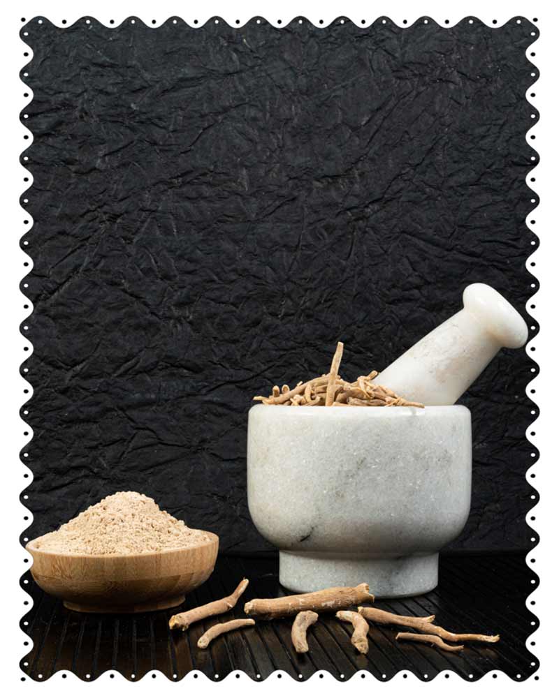 Herbs & Wellness