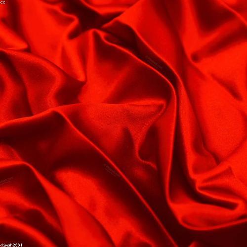 Pure Silk Saree · Ruby
