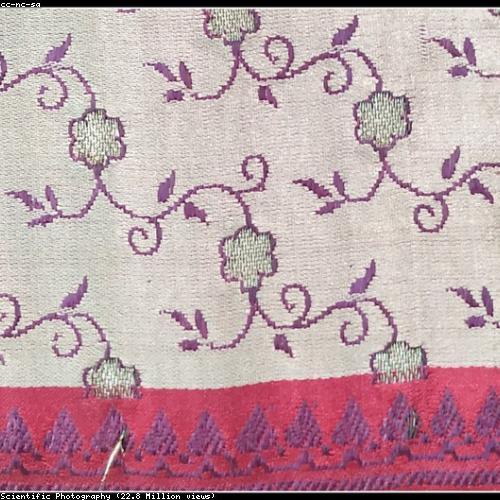 Embroidered Zari Saree