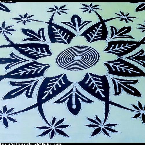Sanganeri Block-Print Saree
